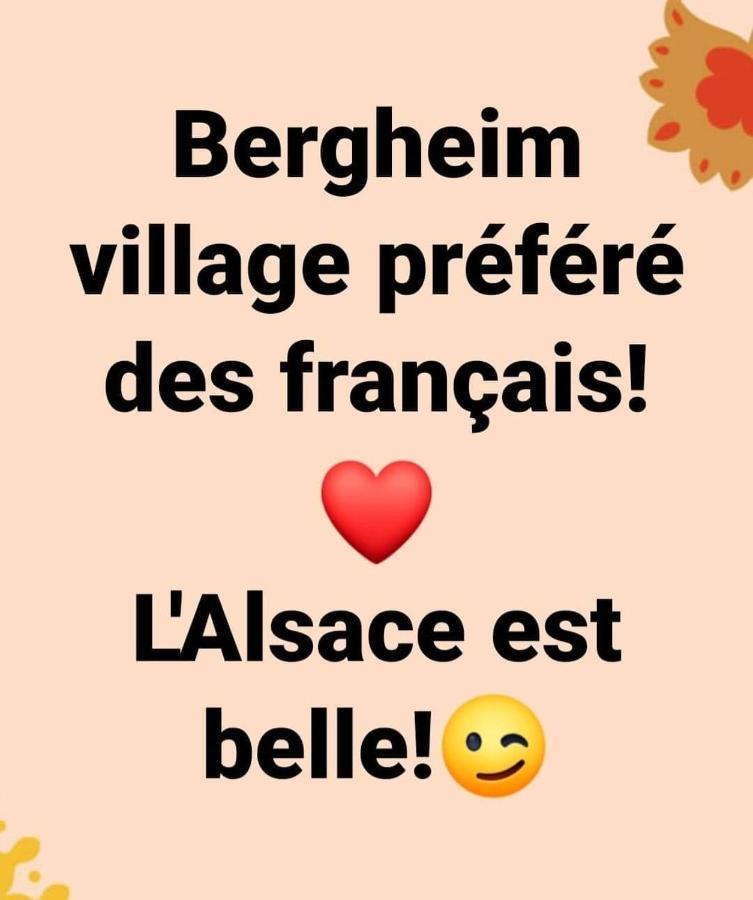 La Maison Des Tanneurs Ribeauvillé Εξωτερικό φωτογραφία