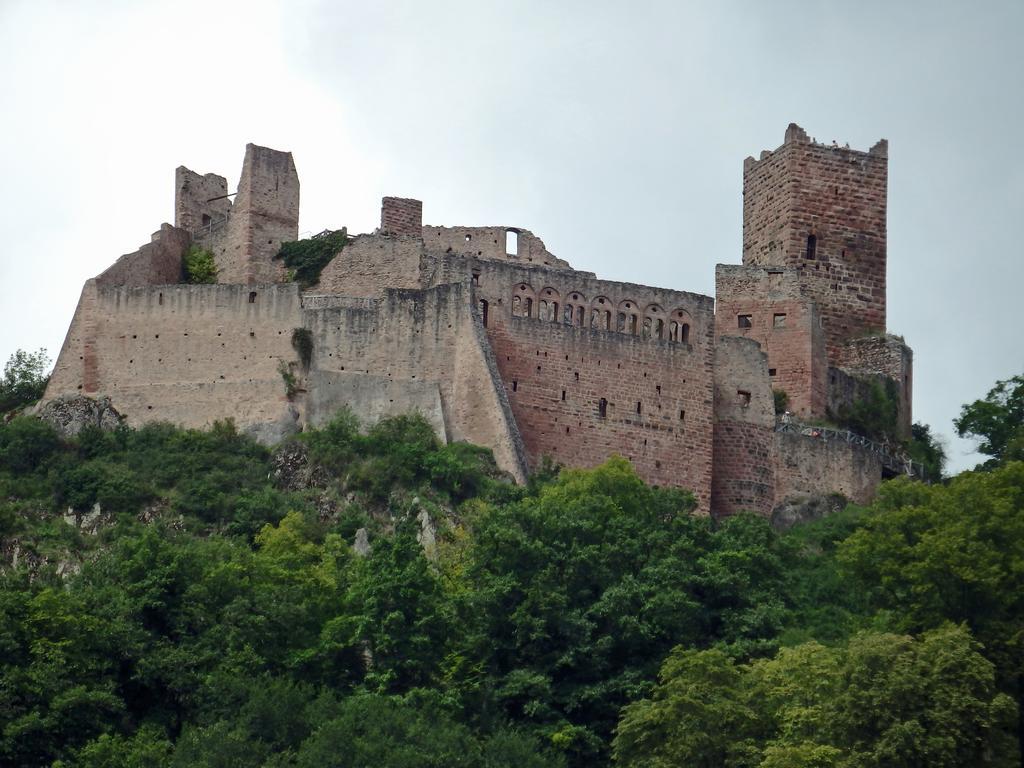 La Maison Des Tanneurs Ribeauvillé Εξωτερικό φωτογραφία