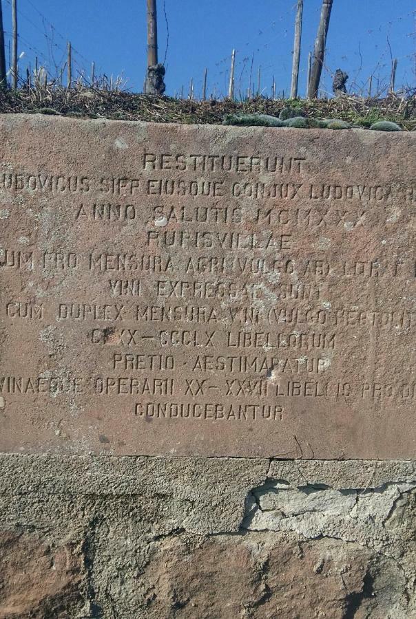 La Maison Des Tanneurs Ribeauvillé Εξωτερικό φωτογραφία